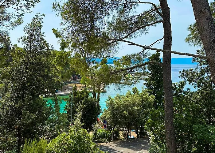 Apartment Oja